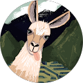 Carol Ann Chase Avatar